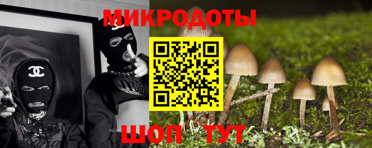даркнет сайт  Псилоцибиновые грибы ЛСД  Междуреченск  Вход с VPN  Псилоцибиновые грибы мухоморы 