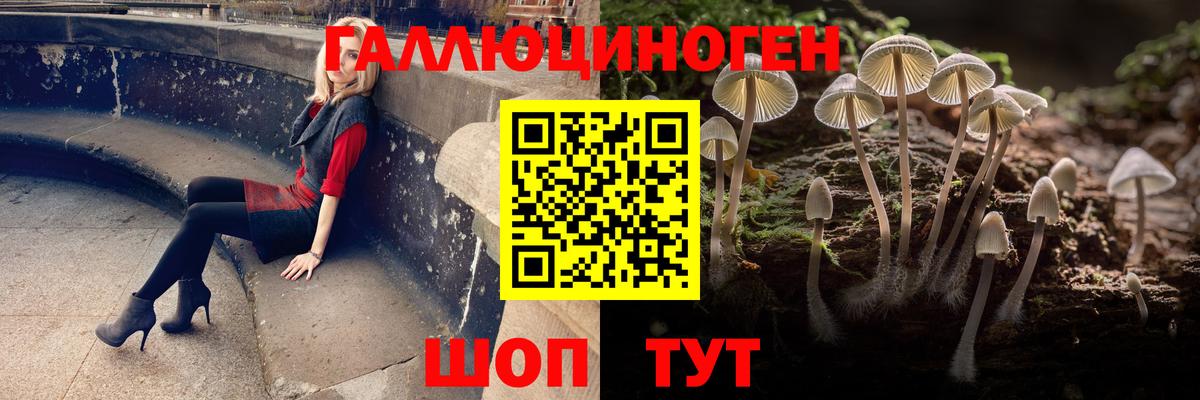 Псилоцибиновые грибы Magic Shrooms Междуреченск